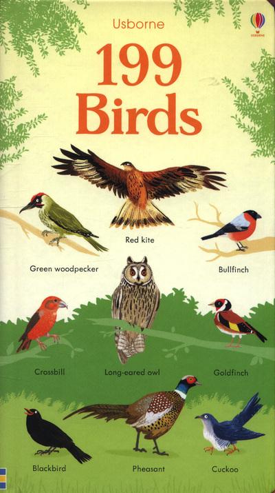 199 Birds - Hannah Watson