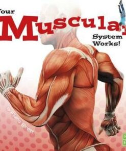 Your Muscular System Works! - Flora Brett
