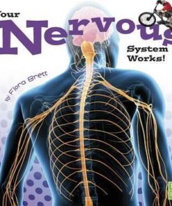 Your Nervous System Works! - Flora Brett
