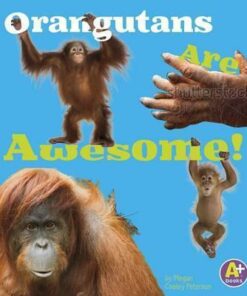 Orangutans Are Awesome! - Allan Morey
