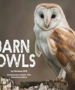 Barn Owls - Gail Saunders-Smith