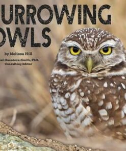 Burrowing Owls - Gail Saunders-Smith