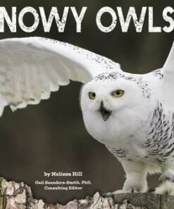 Snowy Owls - Gail Saunders-Smith