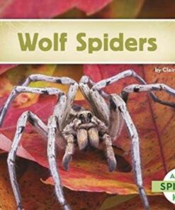 Wolf Spiders - Claire Archer
