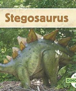 Stegosaurus - Charles Lennie