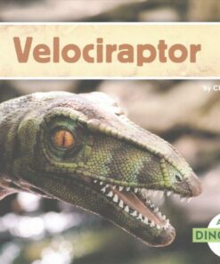 Velociraptor - Charles Lennie