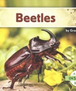 Beetles - Grace Hansen