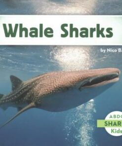 Whale Sharks - Nico Barnes
