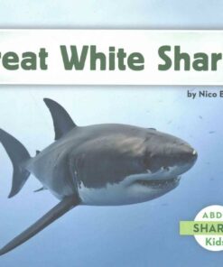 Great White Sharks - Nico Barnes