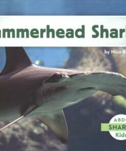 Hammerhead Sharks - Nico Barnes