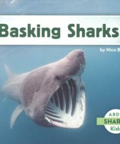 Basking Sharks - Nico Barnes