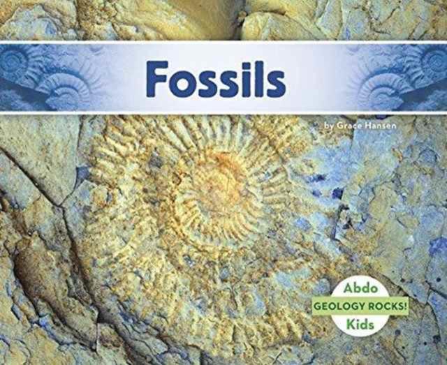 Fossils - Grace Hansen