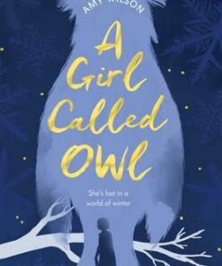 A Girl Called Owl - Amy Wilson