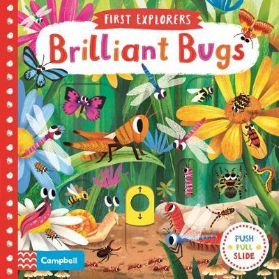 Brilliant Bugs - Chorkung