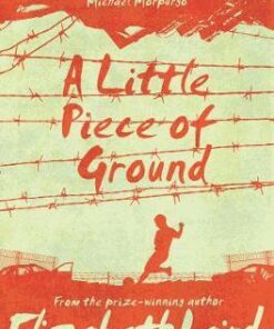 A Little Piece of Ground: 15th Anniversary Edition - Elizabeth Laird