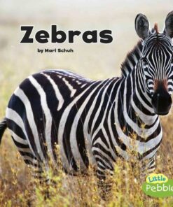 Zebras - Mari C Schuh