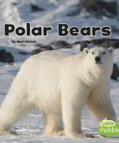 Polar Bears - Mari C Schuh