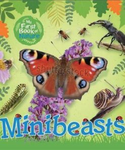 My First Book of Nature: Minibeasts - Victoria Munson