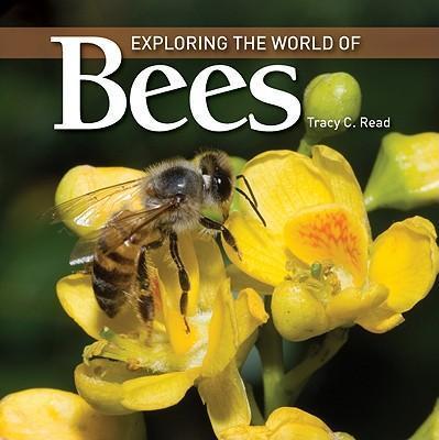 Exploring the World of Bees - Tracy C. Read