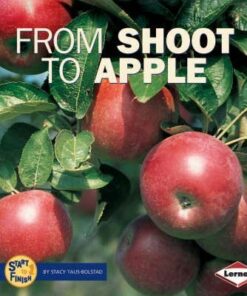 From Shoot to Apple - Shannon Zemlicka