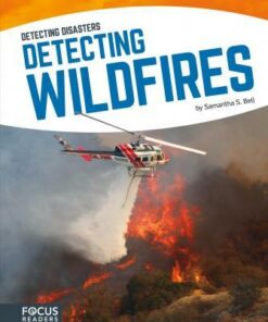 Detecting Wildfires -
