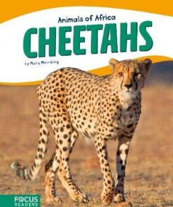 Animals of Africa: Cheetahs - Mary Meinking