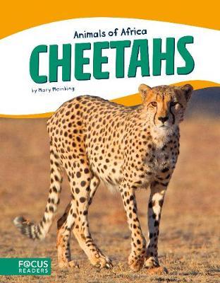 Animals of Africa: Cheetahs - Mary Meinking