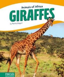 Animals of Africa: Giraffes - Tammy Gagne