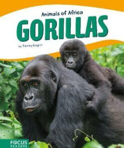 Animals of Africa: Gorillas - Tammy Gagne