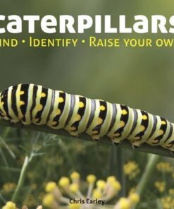 Caterpillars: Find - Identify - Raise Your Own - Chris Earley