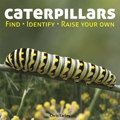 Caterpillars: Find - Identify - Raise Your Own - Chris Earley