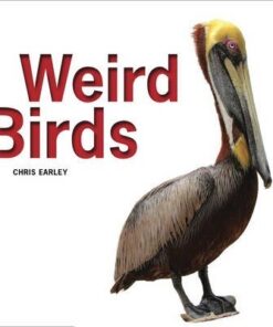 Weird Birds - Chris Earley