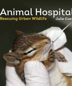 Animal Hospital: Rescuing Urban Wildlife - Julia Coey