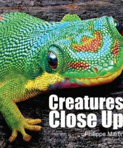 Creatures Close Up - Gillian Watts