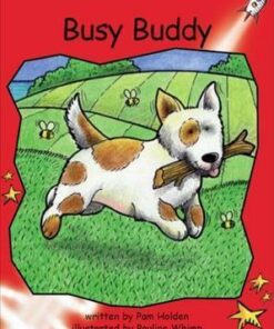 Busy Buddy - Pam Holden