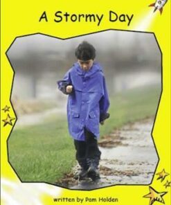 A Stormy Day - Pam Holden