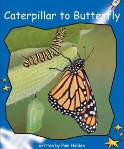 Caterpillar to Butterfly - Pam Holden