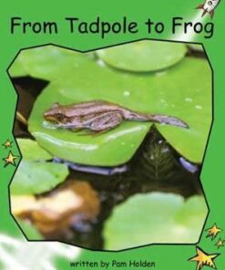 From Tadpole to Frog - Pam Holden