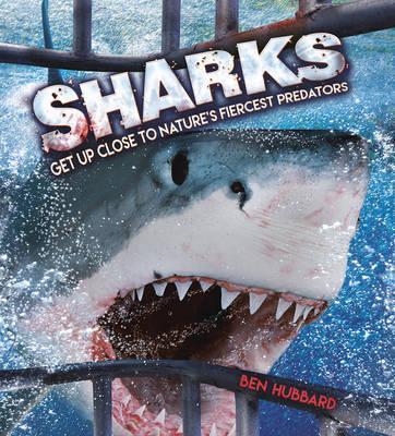 Sharks - Ben Hubbard