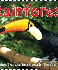 Rainforest: Smart Kids - Roger Priddy