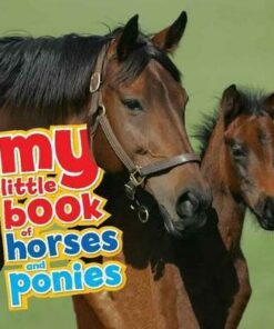 My Little Book of Horses and Ponies - Nicola Jane Swinney