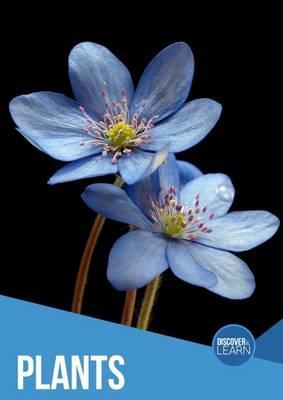 Plants - Gemma McMullen