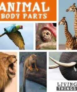 Animal Body Parts - Steffi Cavell-Clarke