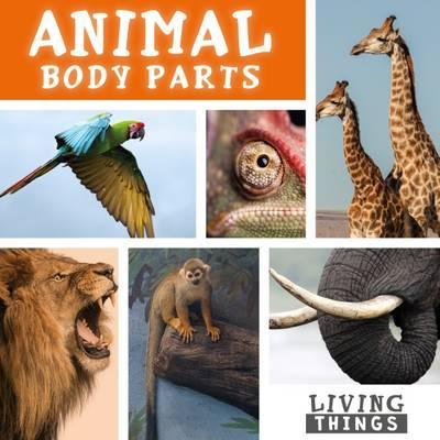 Animal Body Parts - Steffi Cavell-Clarke