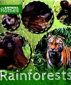 Rainforests - Holly Duhig