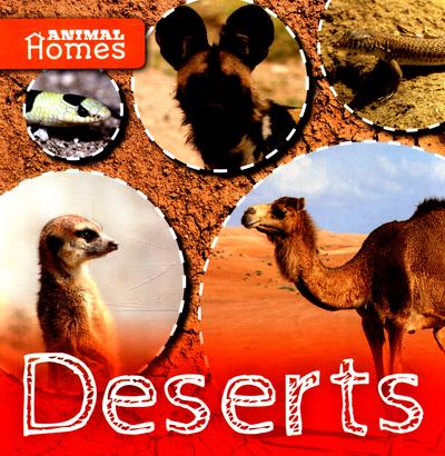 Deserts - John Wood