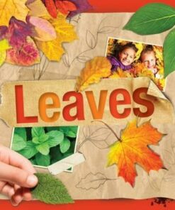 Leaves - Steffi Cavell-Clarke