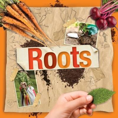 Roots - Steffi Cavell-Clarke
