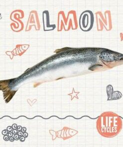 Salmon - Holly Duhig