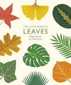 The Little Guide to Leaves - Tom Frost